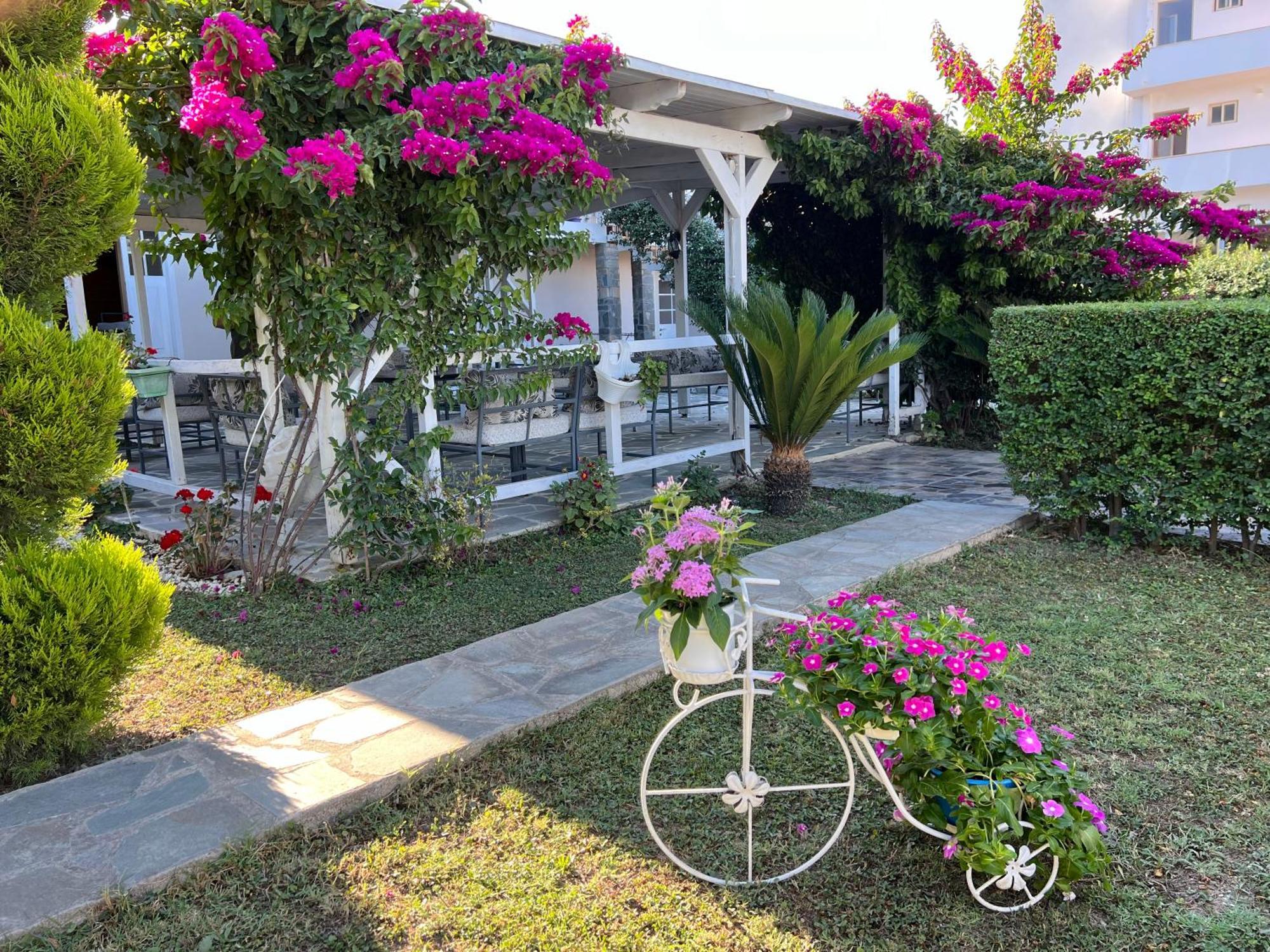 Nili Hotel วญอเรอ ภายนอก รูปภาพ