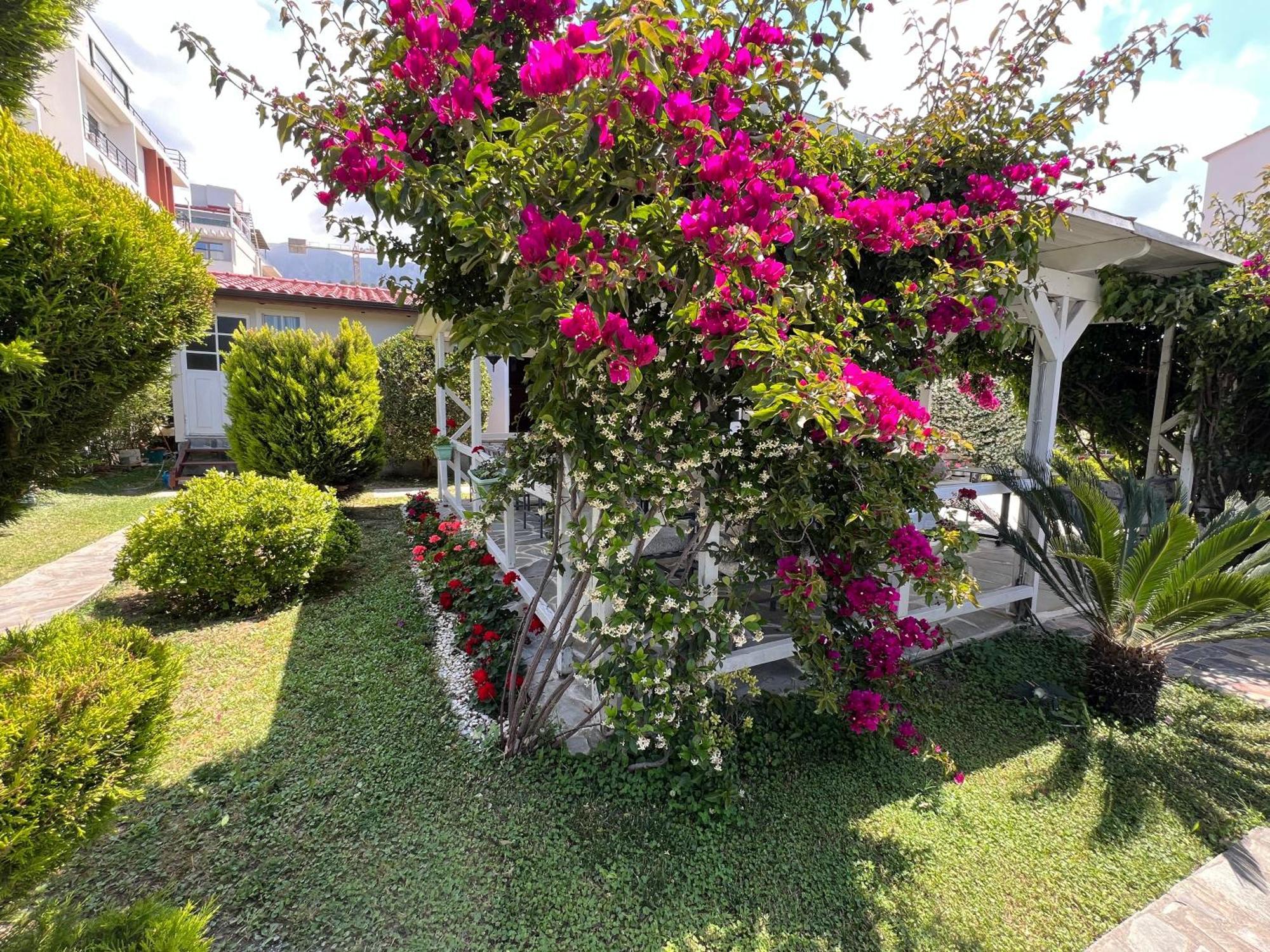 Nili Hotel วญอเรอ ภายนอก รูปภาพ
